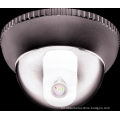 700tvl,1/3" Sony Ccd Security Camera ,infrared / Ir / Digital Color Ip66 Cctv Dome Camera